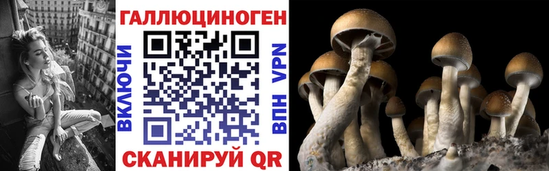 Галлюциногенные грибы GOLDEN TEACHER Гатчина
